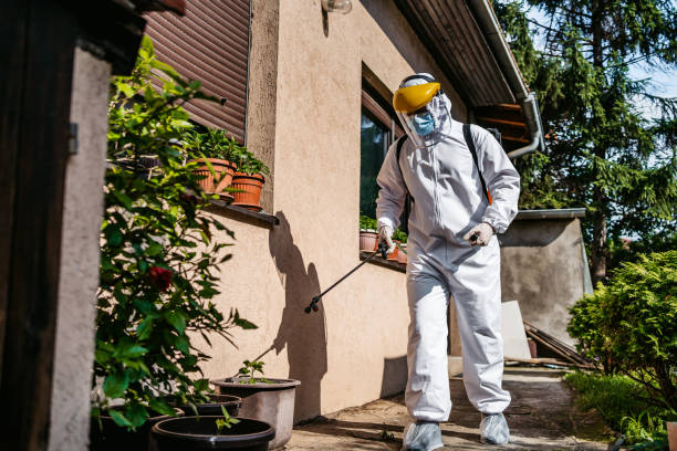 Best Termite Control Services  in Wagon Wheel, AZ