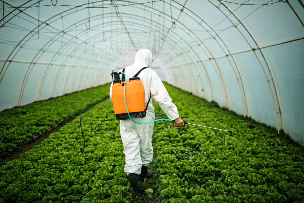 Pest Prevention Services in Wagon Wheel, AZ