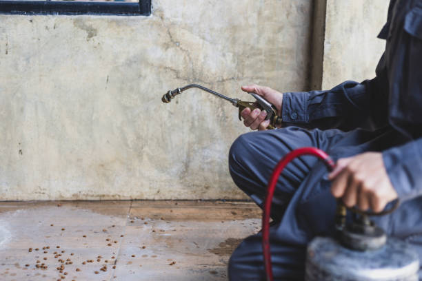 Best Exterminator Services  in Wagon Wheel, AZ